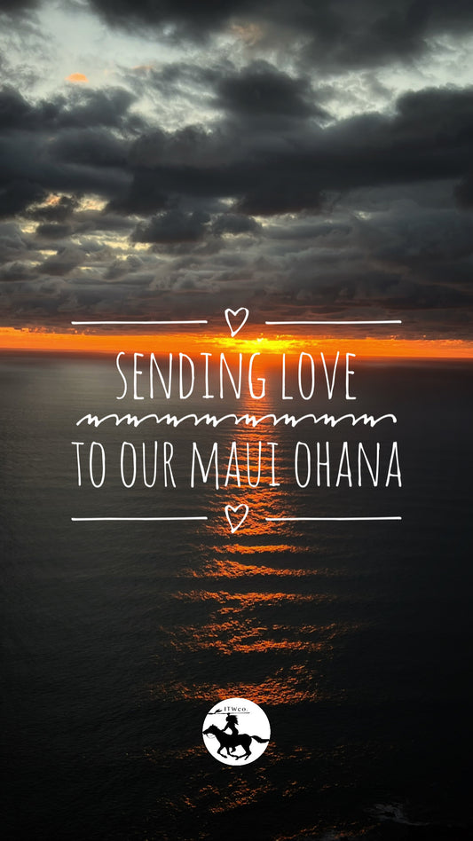 Lahaina, Maui Fire Support
