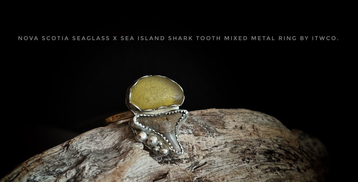 Rare Nova Scotia Sea Glass x Lowcountry Shark Tooth Mixed Metal Ring