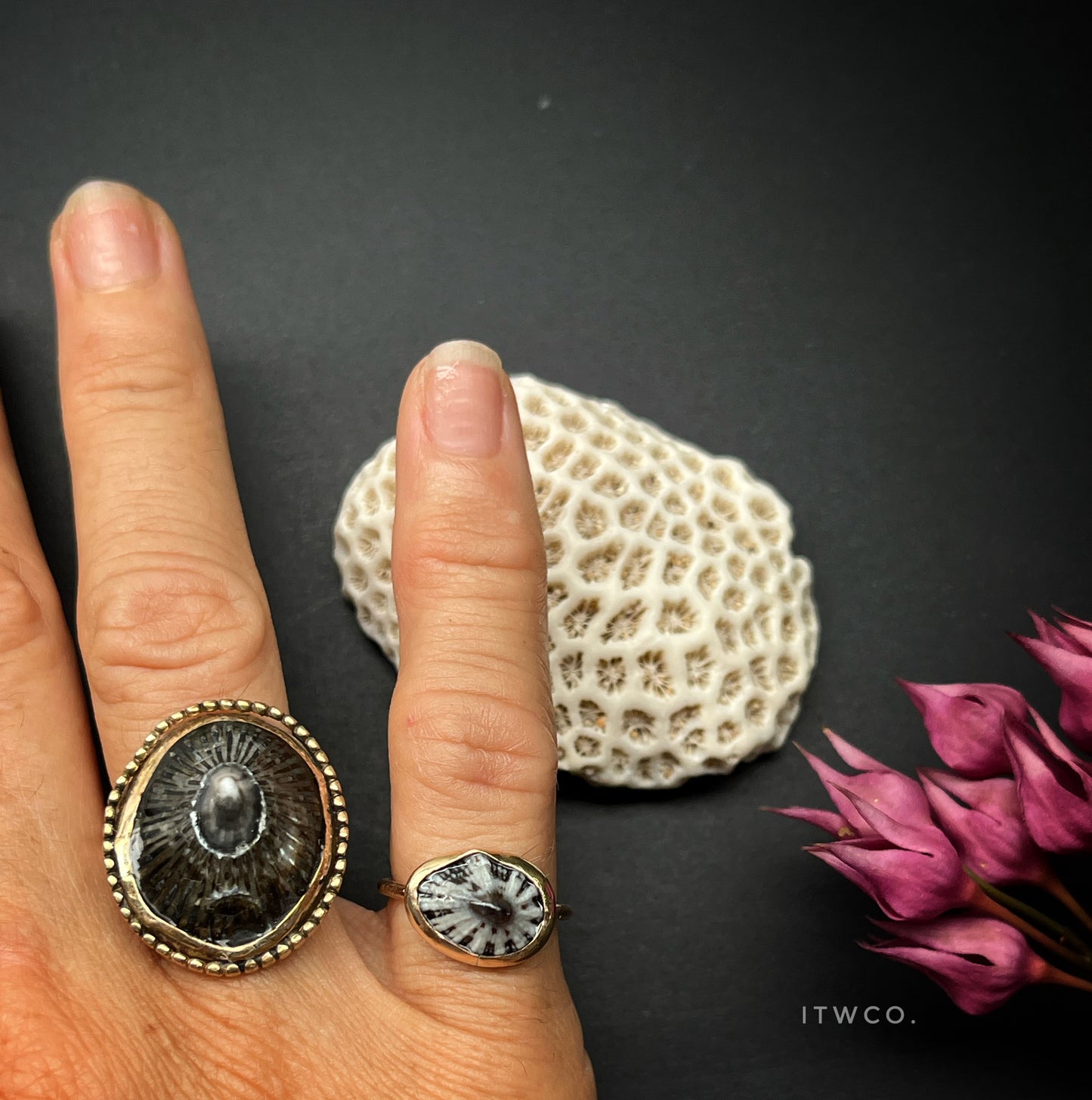Limpet Ring MTO