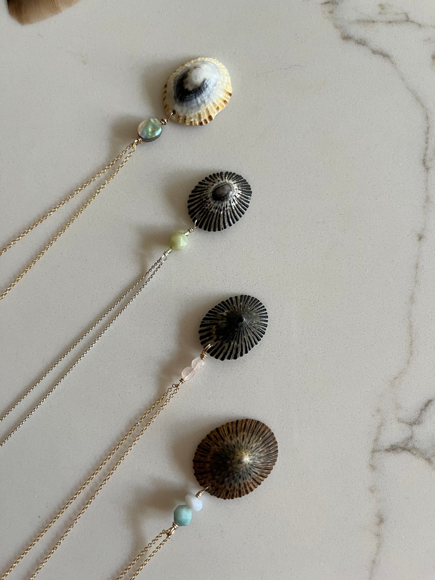 Opihi Collection