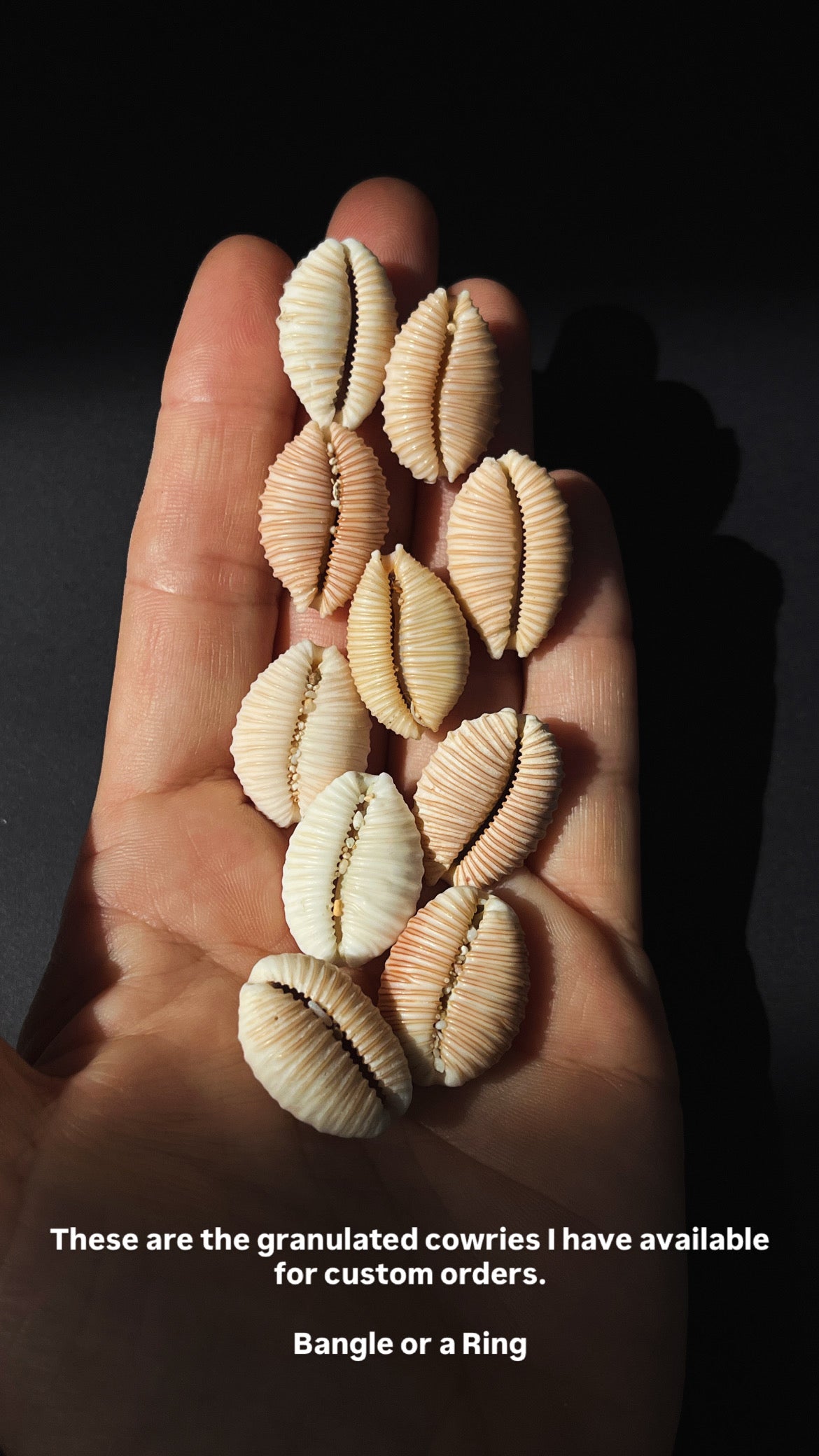 Granulated Cowrie Ring RTS