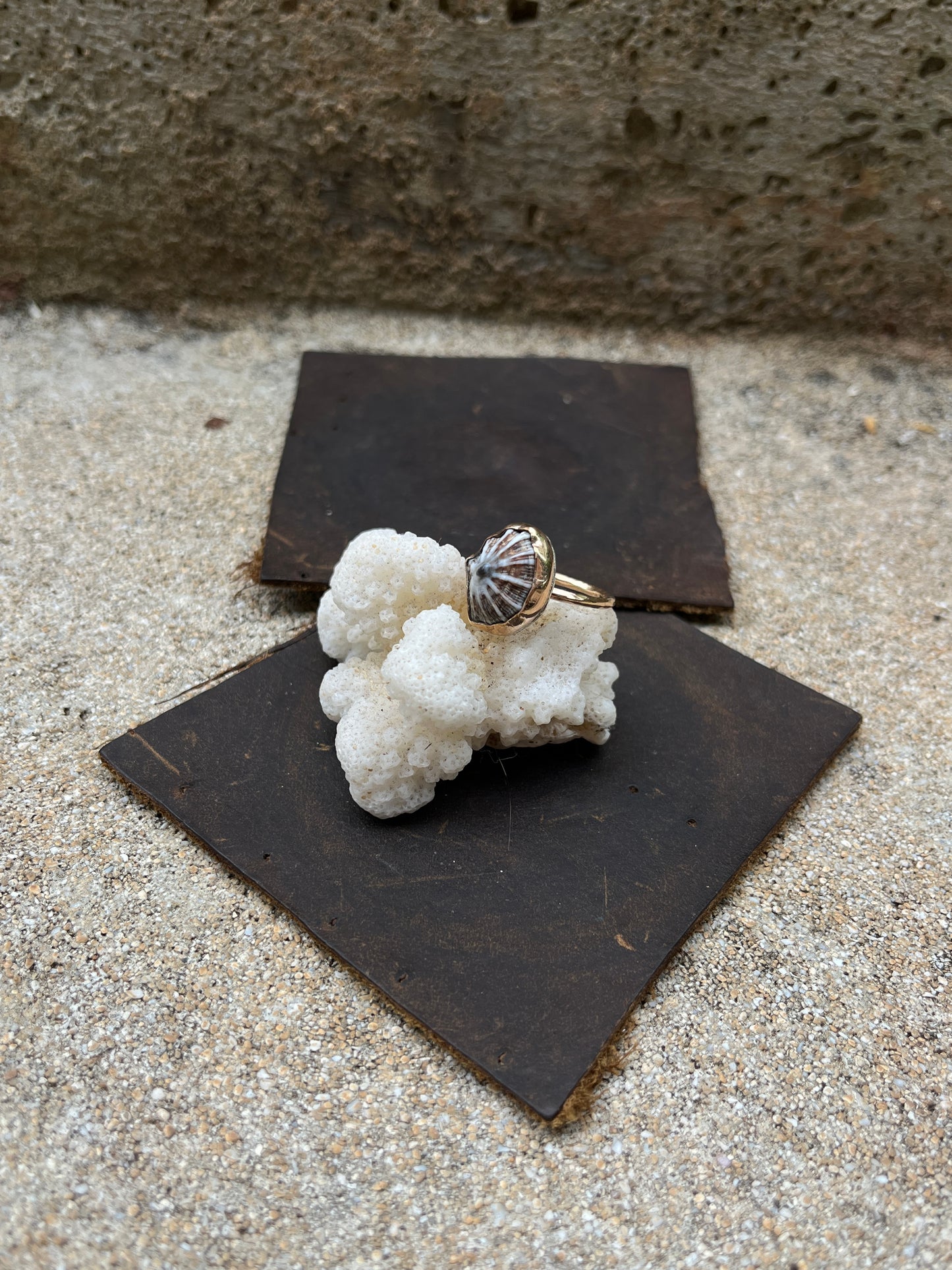 Hawaiian Opihi Shell Ring