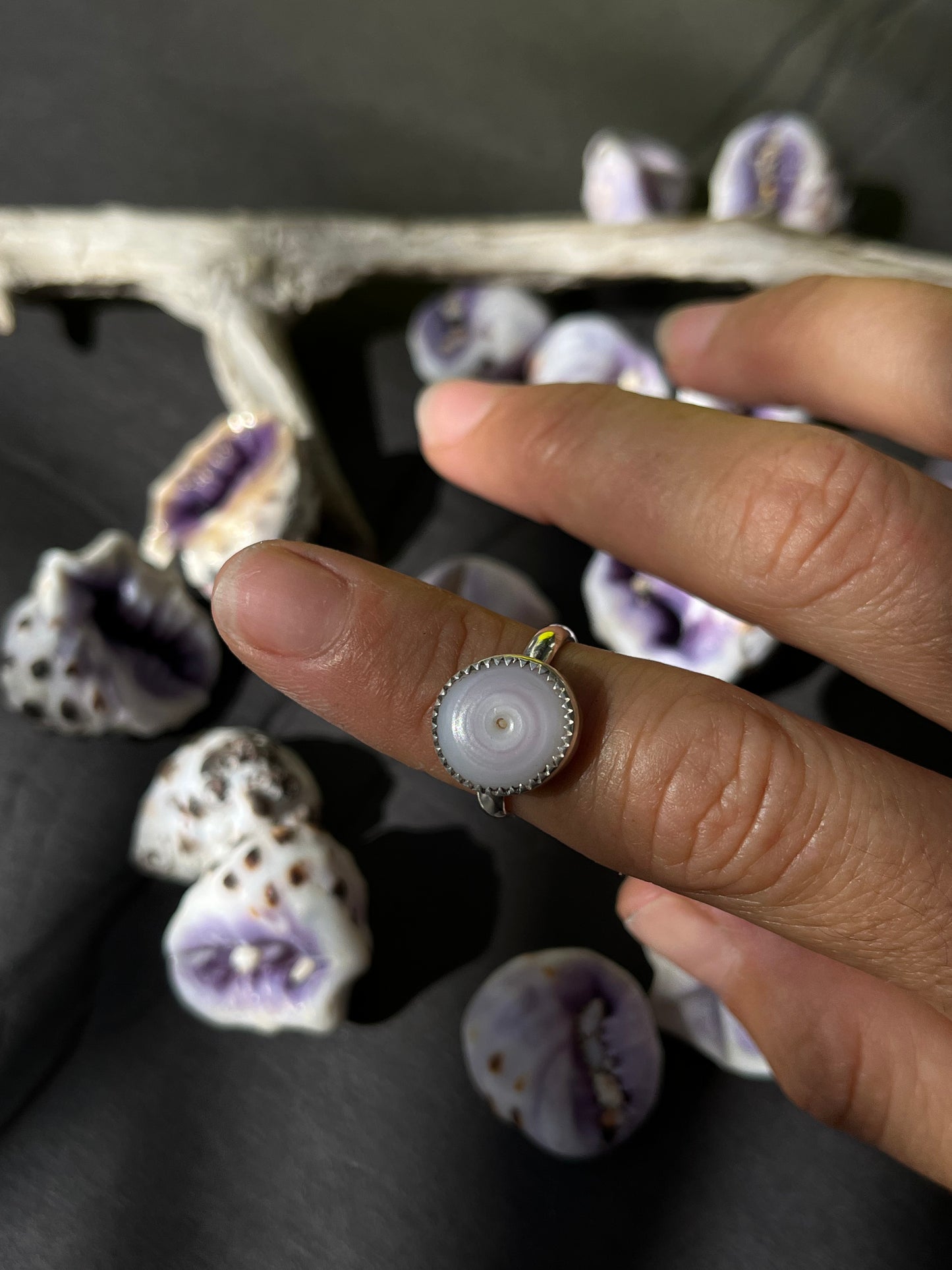 Puka Shell Ring RTS