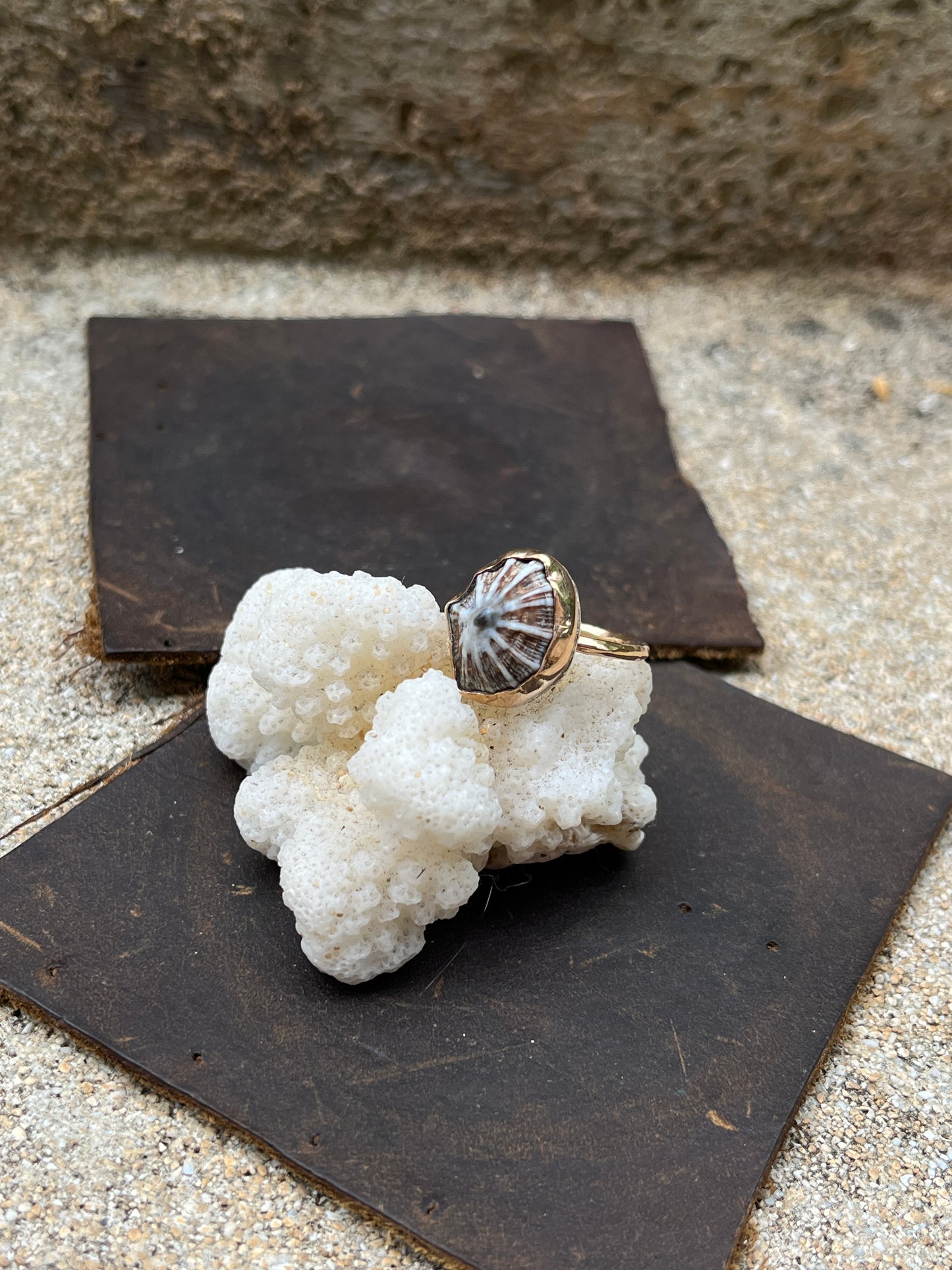 Hawaiian Opihi Shell Ring