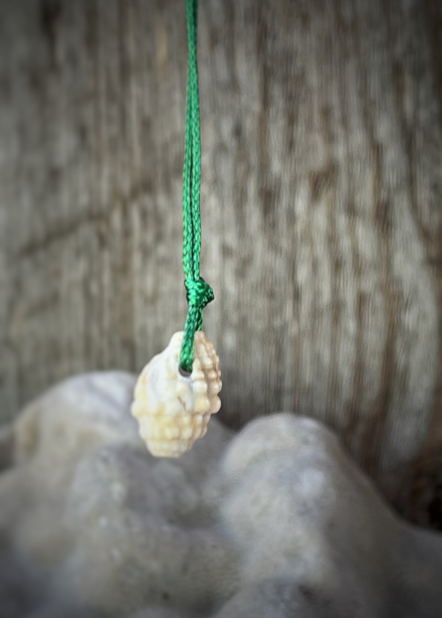 Retro Hawaiian Seashell Necklace