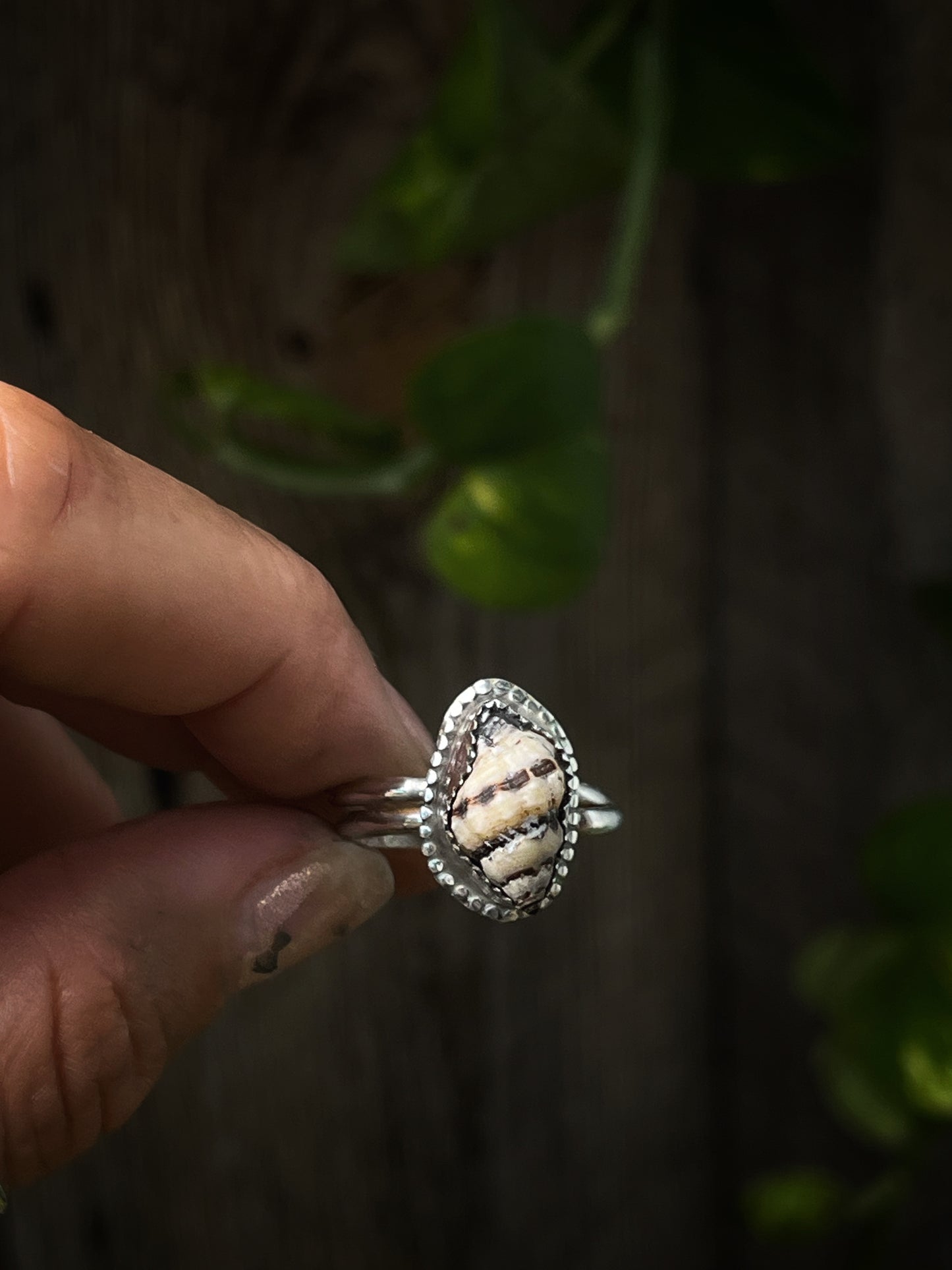 Baby Hawaiian Conch Shell Ring