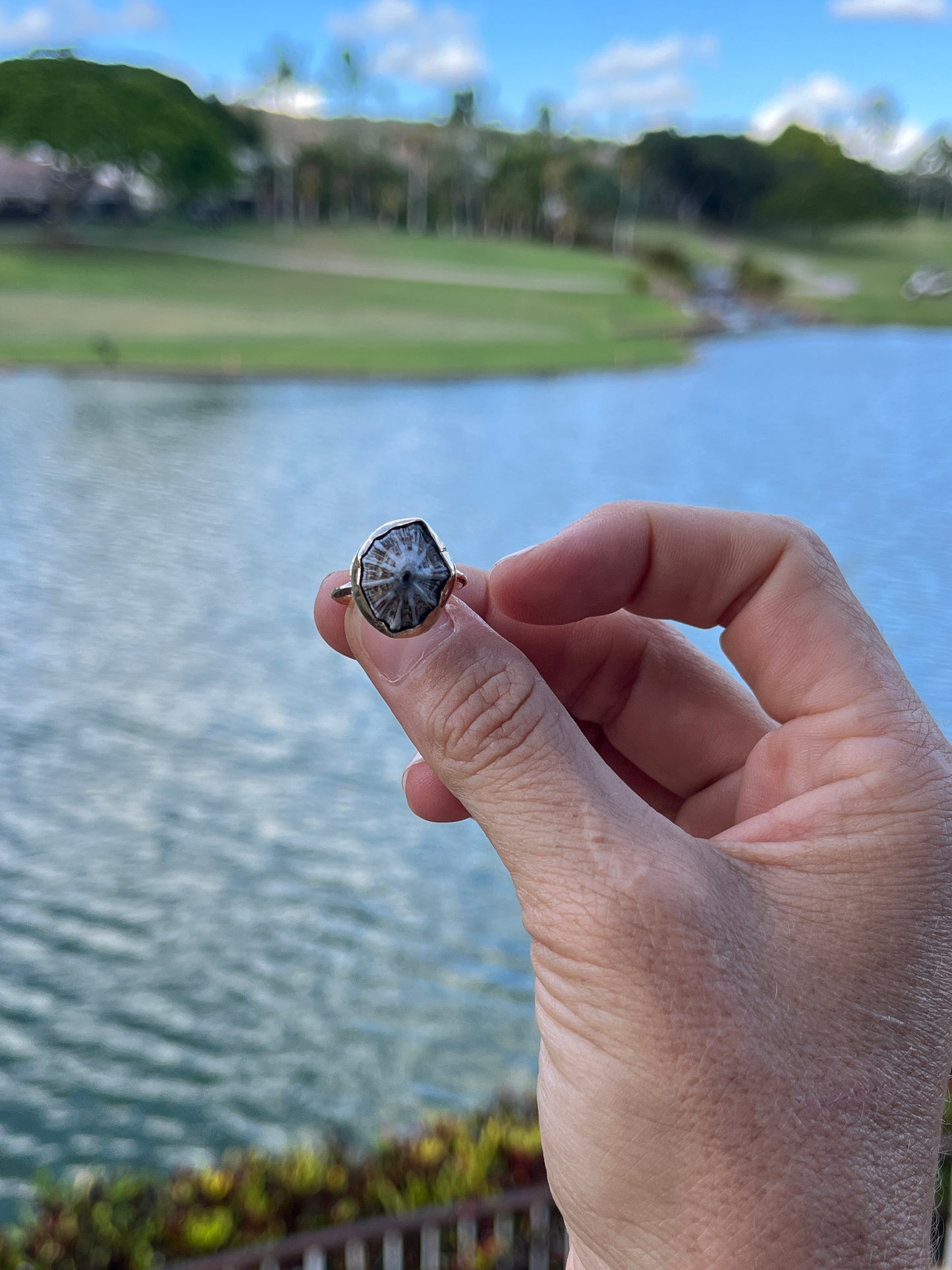 Hawaiian Opihi Shell Ring