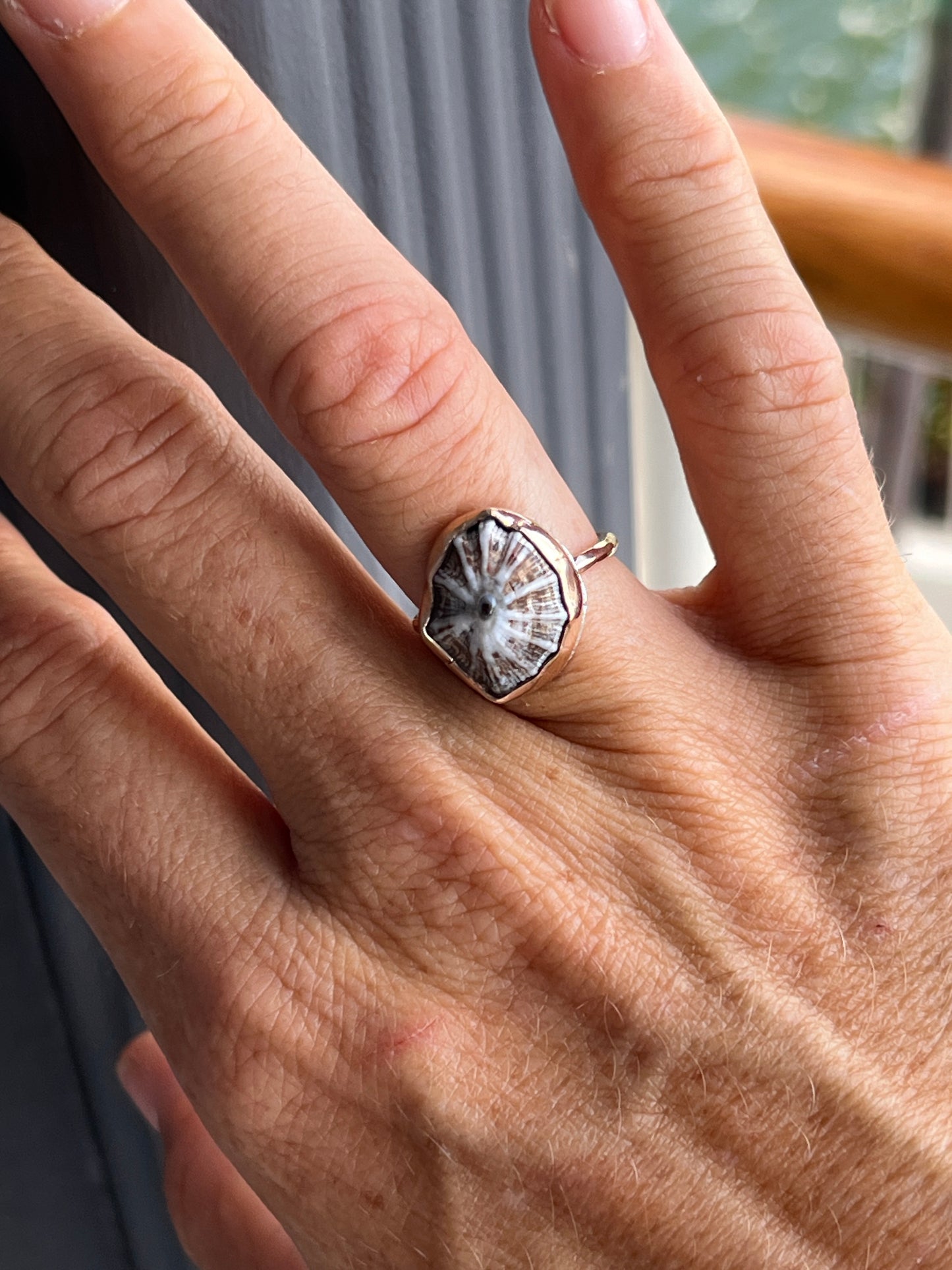 Hawaiian Opihi Shell Ring
