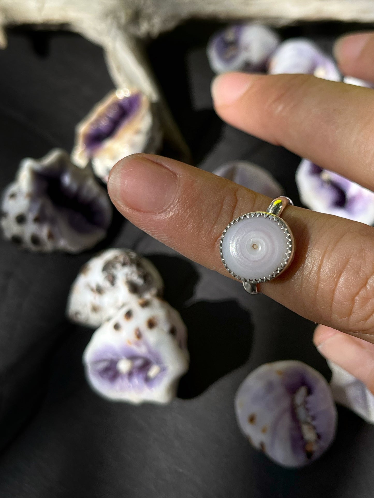 Puka Shell Ring RTS