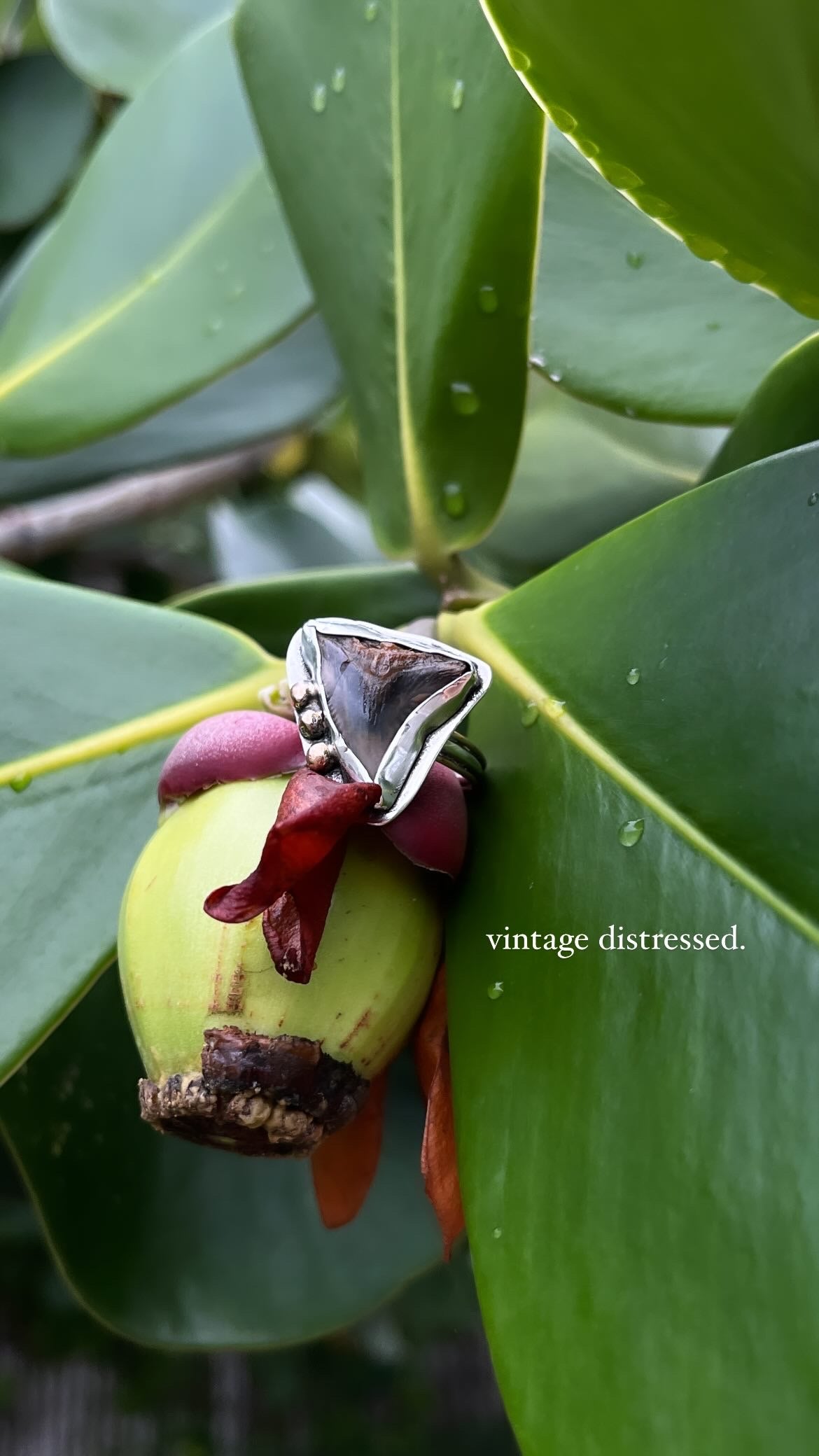 Rough Around The Edges