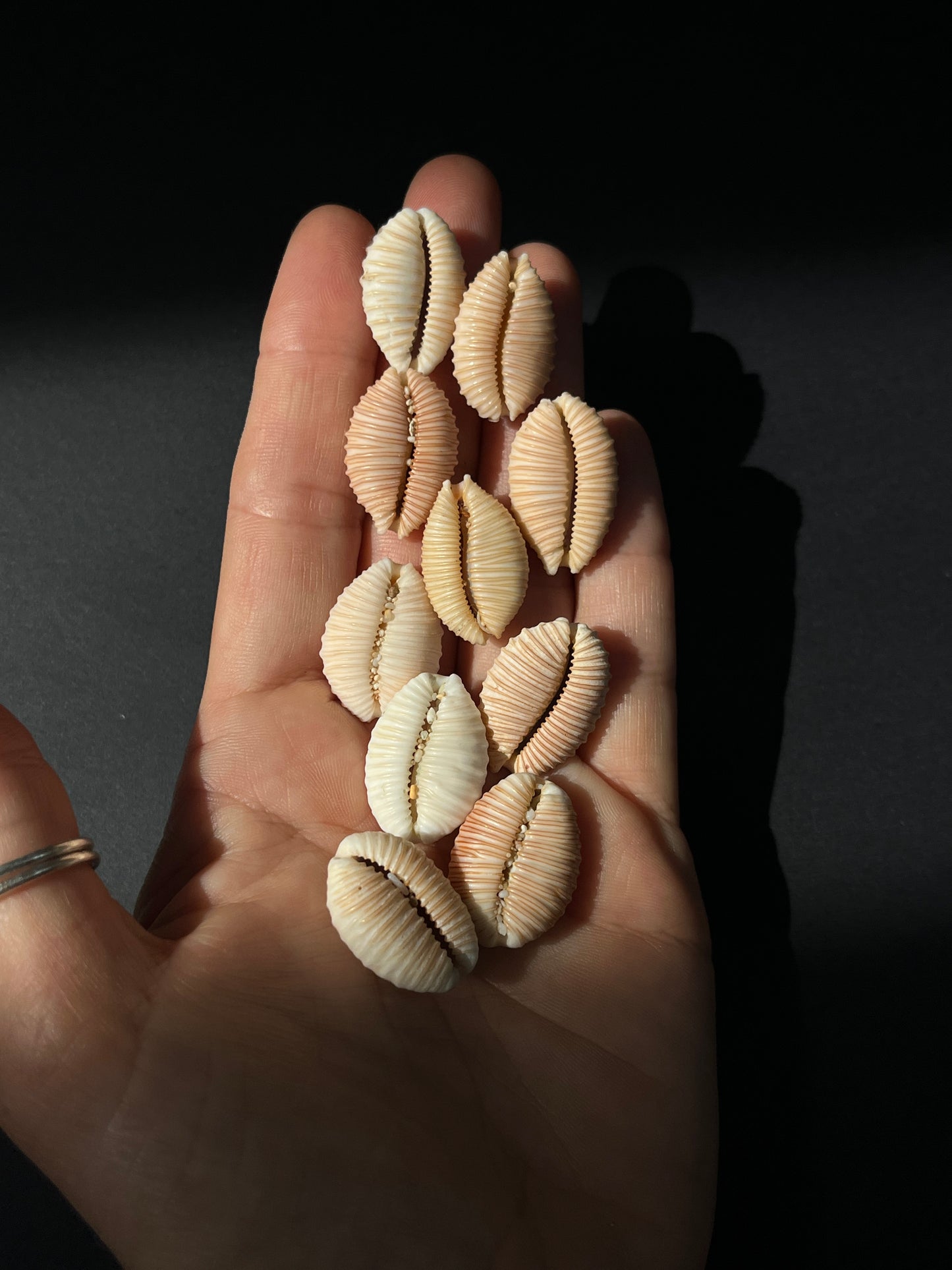 Granulated Cowrie Ring RTS