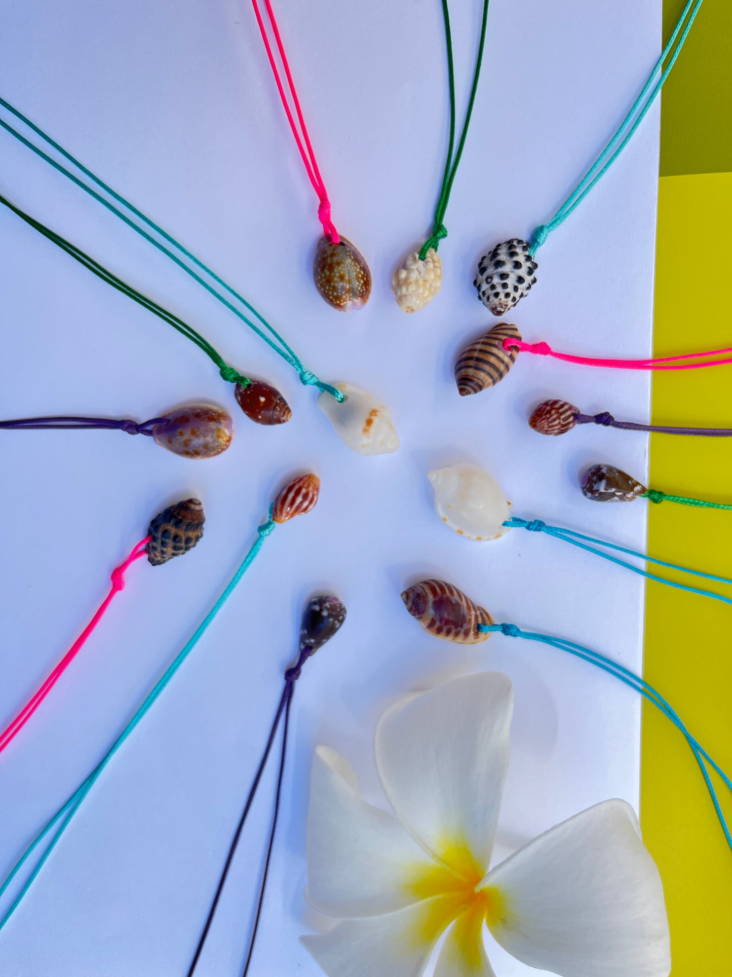 Retro Hawaiian Seashell Necklace