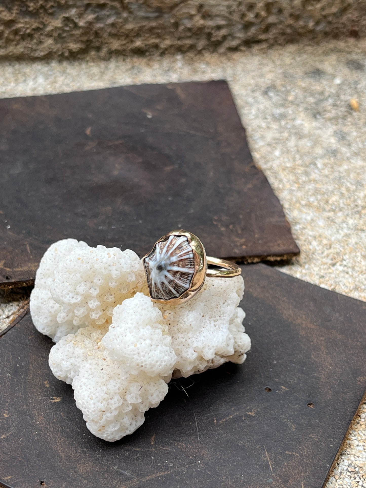 Hawaiian Opihi Shell Ring