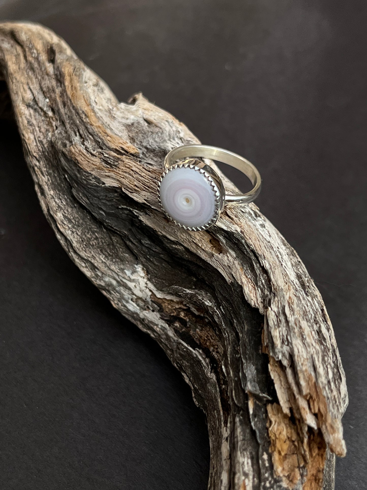 Puka Shell Ring RTS