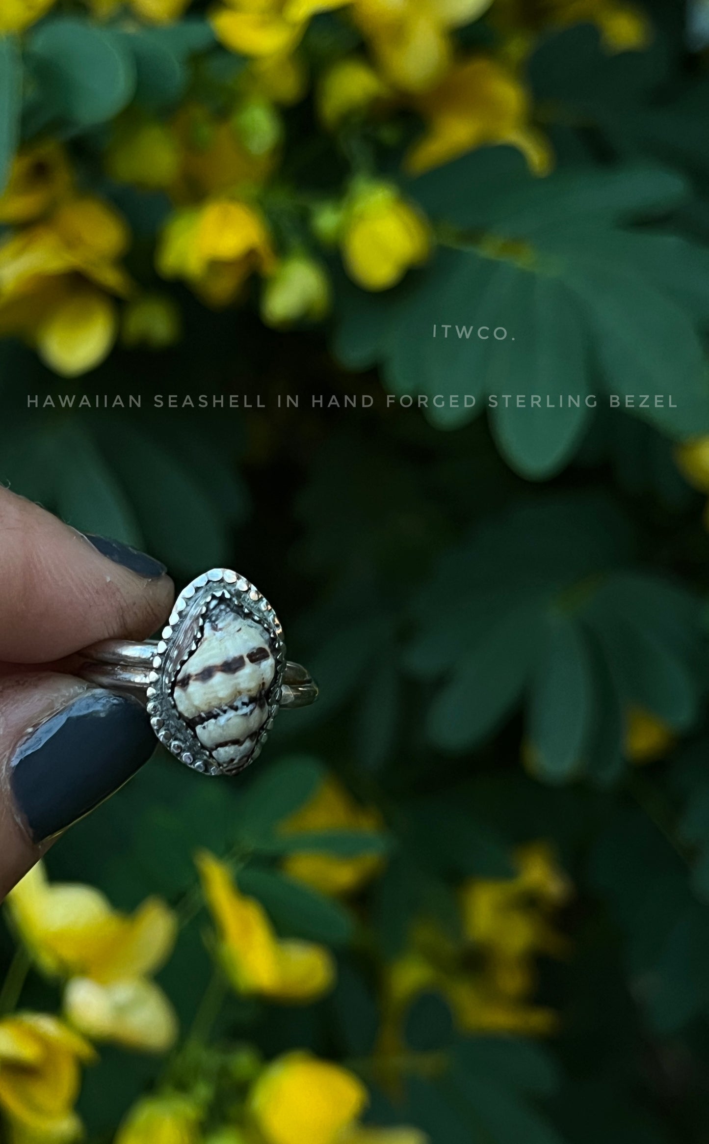 Baby Hawaiian Conch Shell Ring