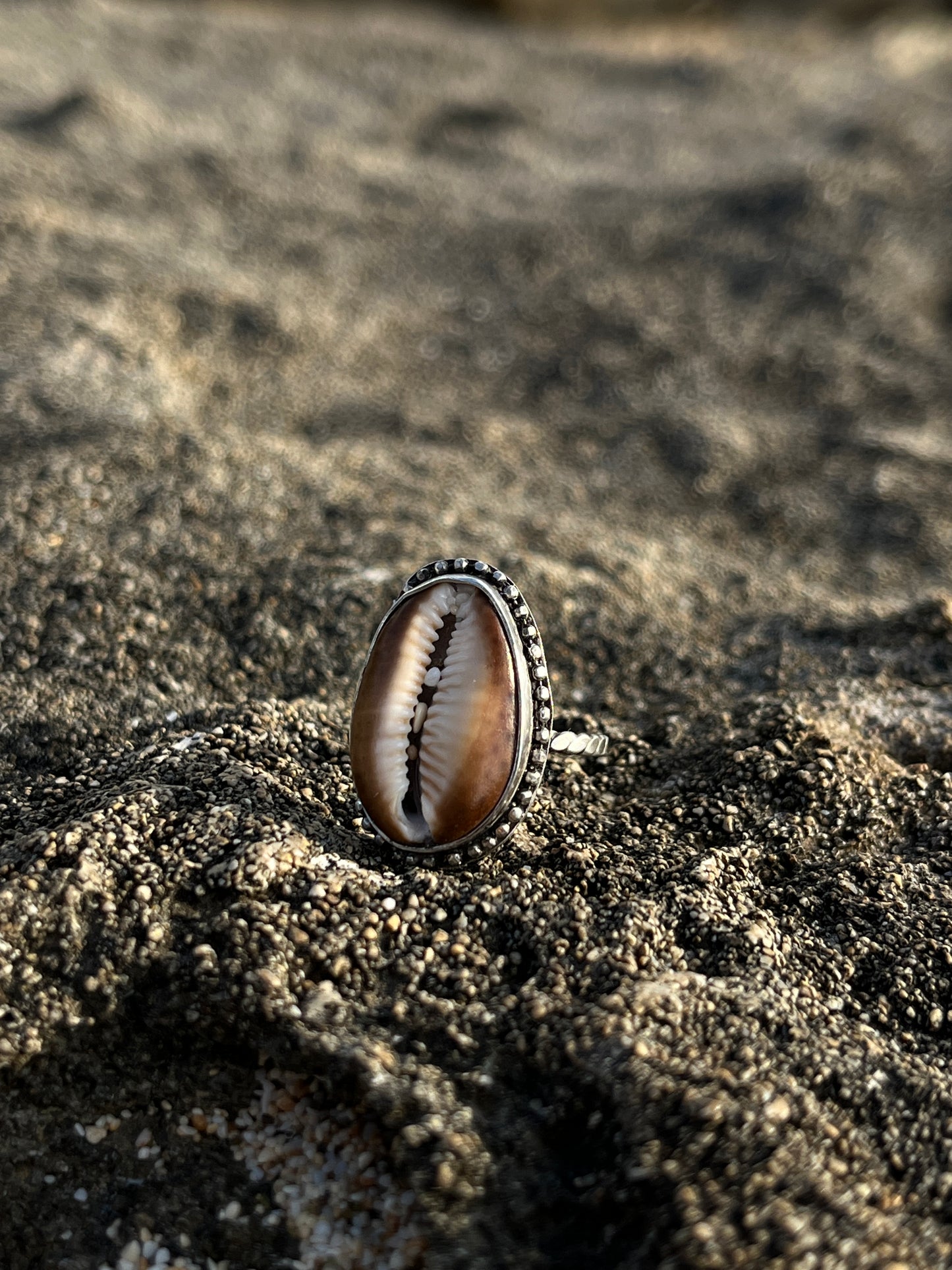 Hawaiian Cowrie Shell Ring RTS