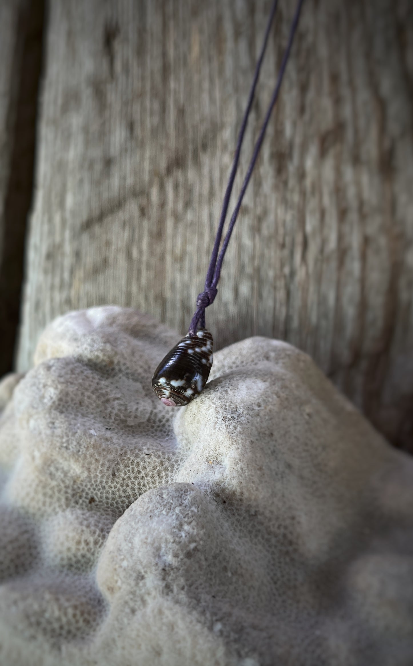 Retro Hawaiian Seashell Necklace