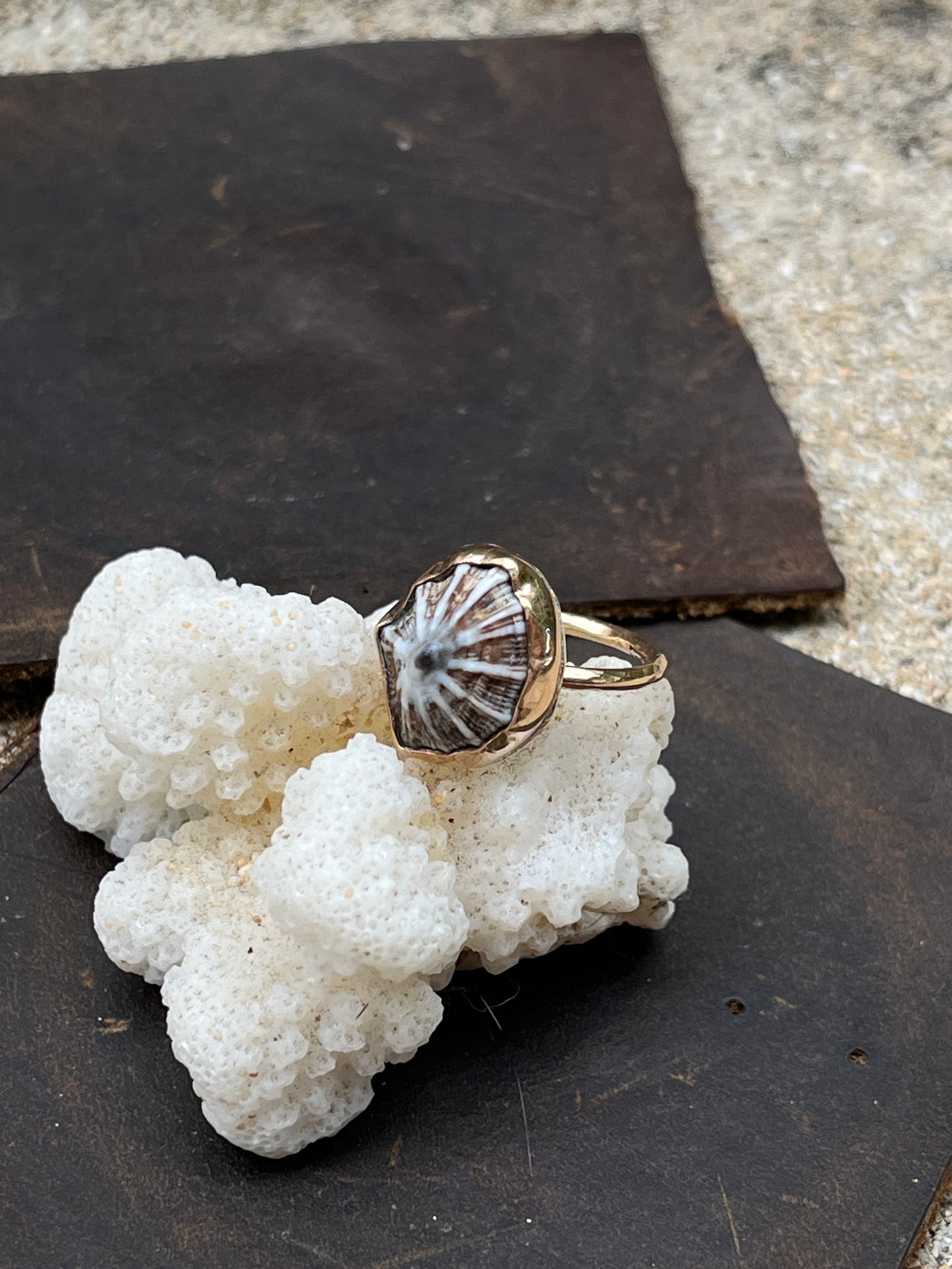 Hawaiian Opihi Shell Ring
