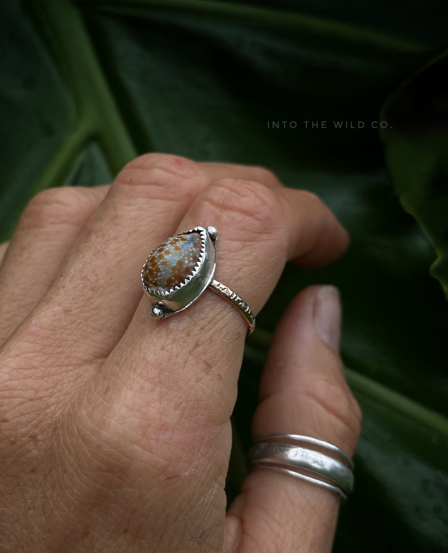 Honey Cowrie Mixed Metal Ring