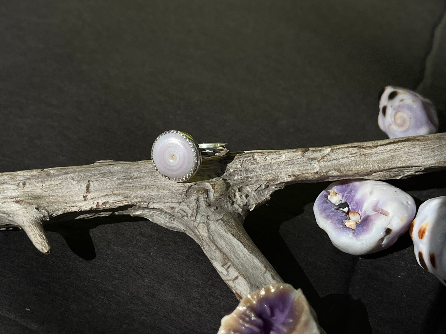 Puka Shell Ring RTS