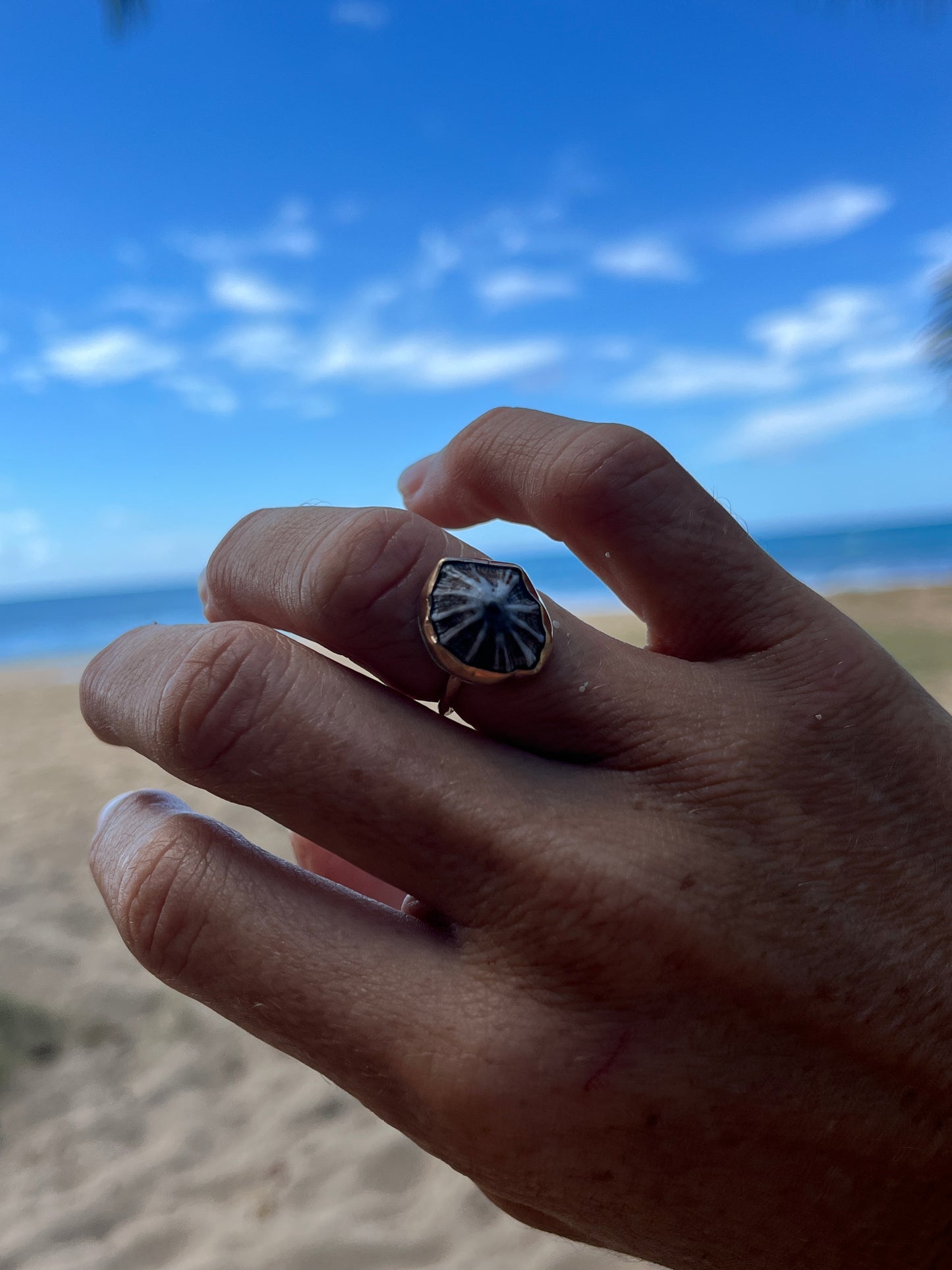 Hawaiian Opihi Shell Ring