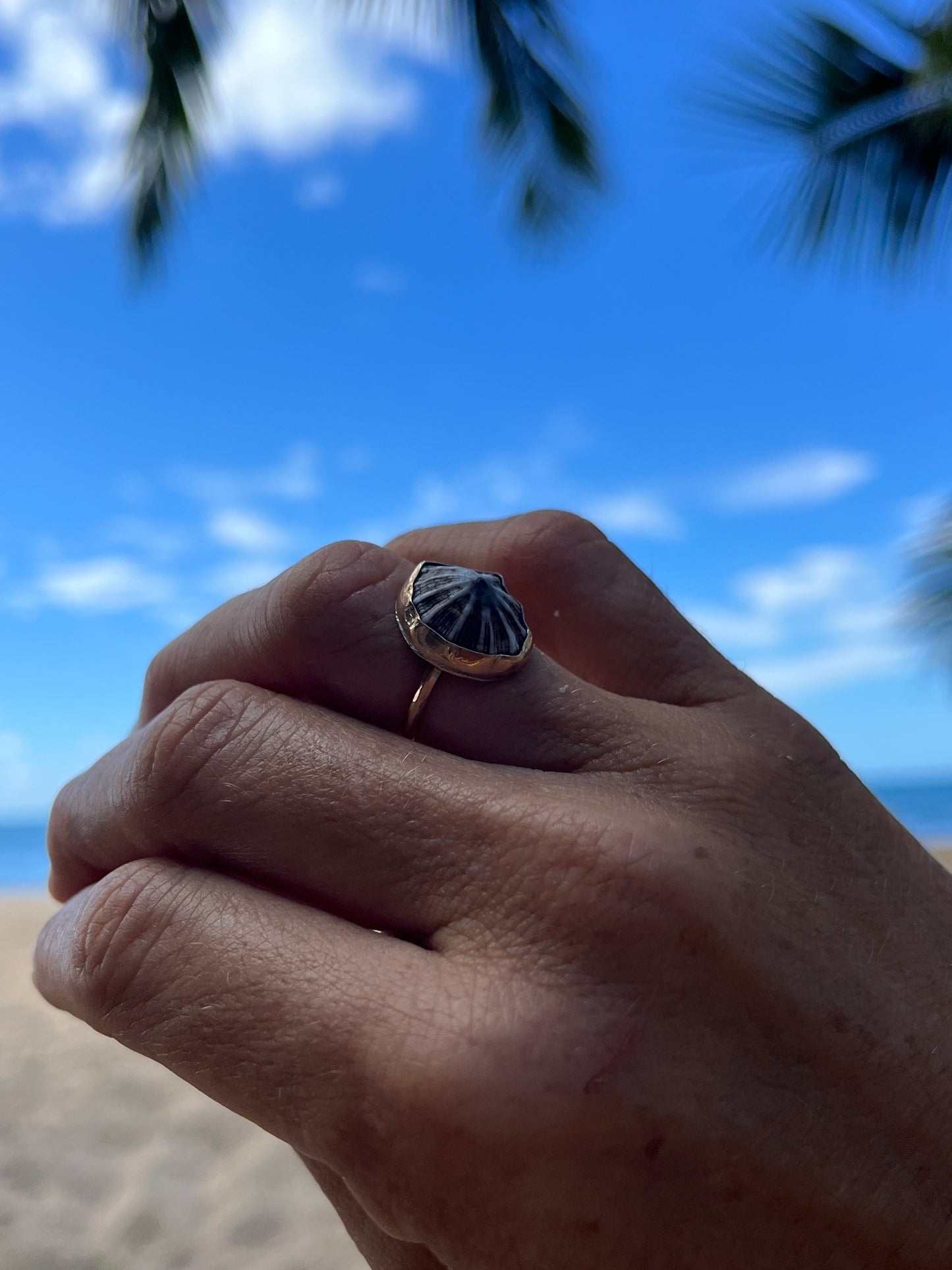 Hawaiian Opihi Shell Ring
