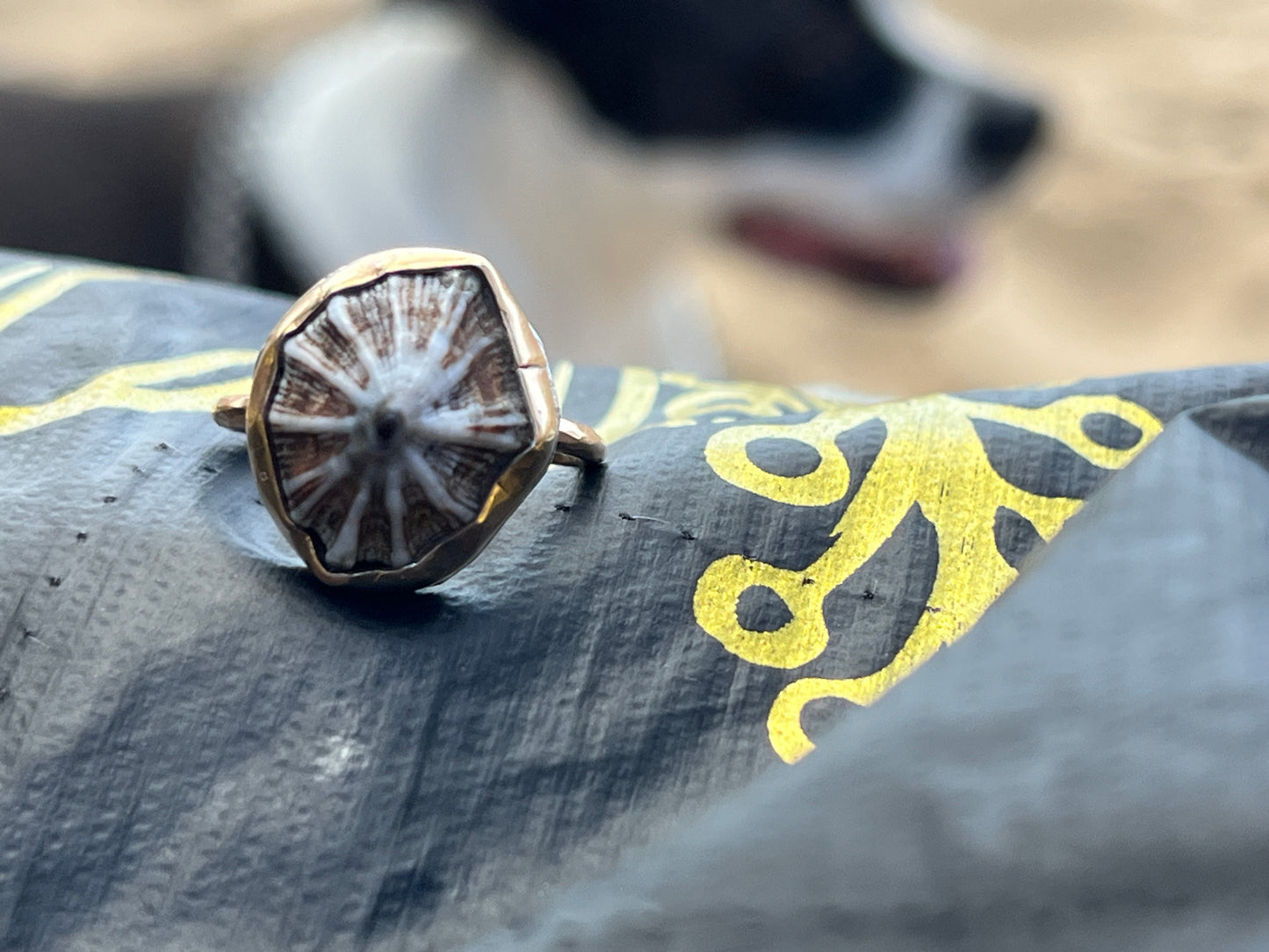Hawaiian Opihi Shell Ring