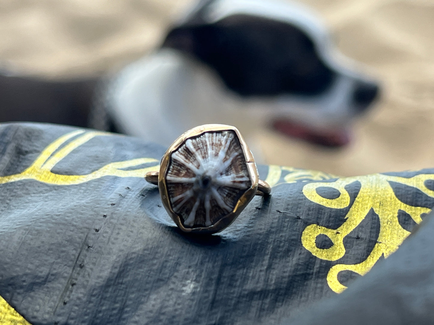 Hawaiian Opihi Shell Ring