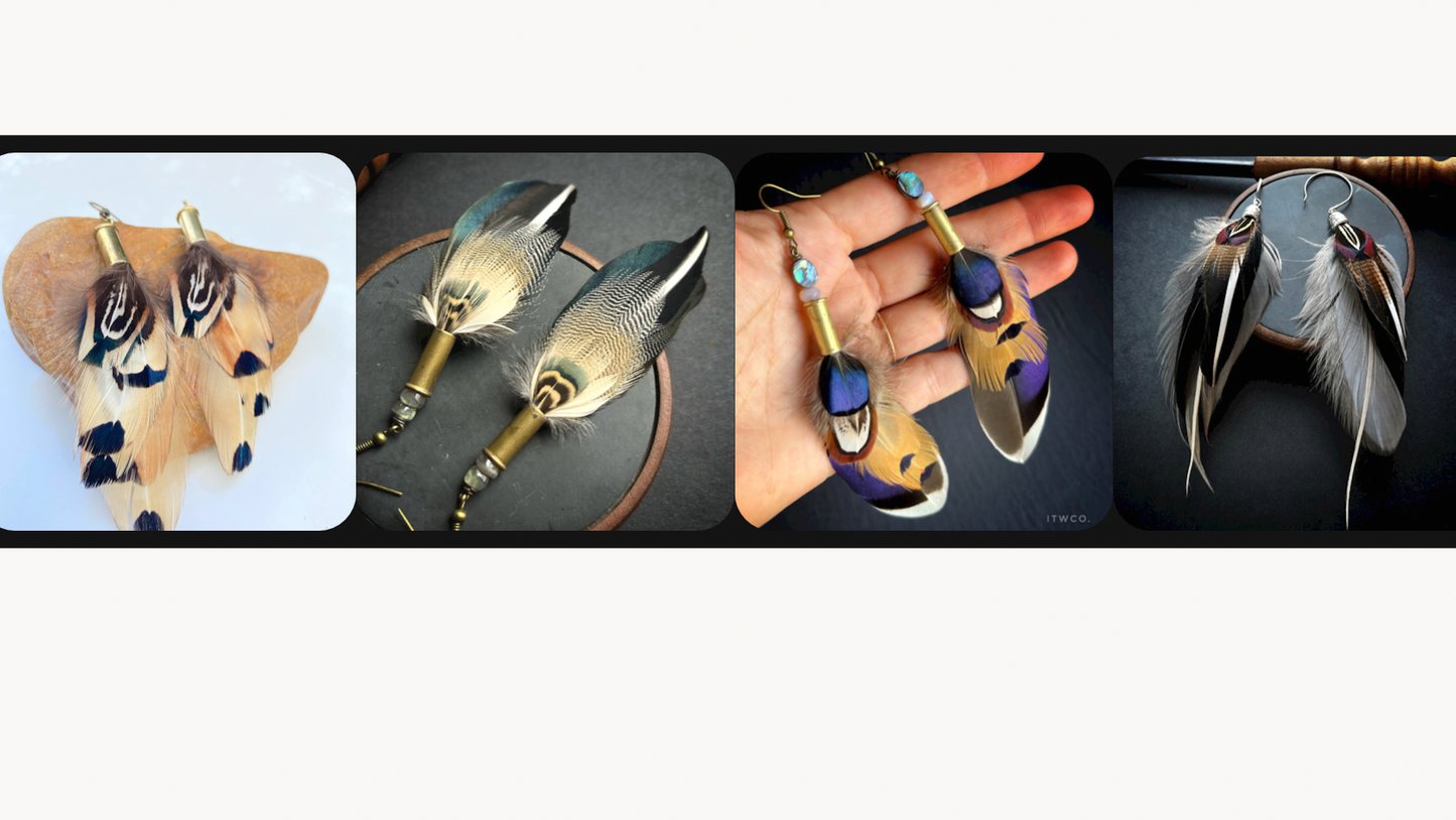 Monthly Feather Earring Subscription