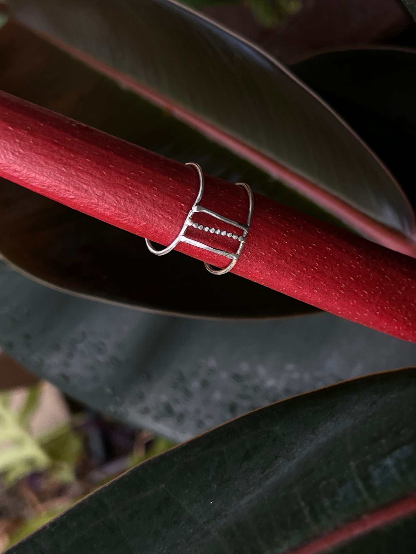 Abstract Ring