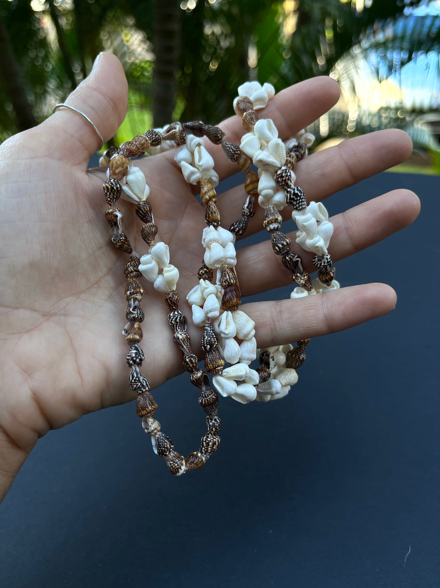 Hawaiian Seashell Lei