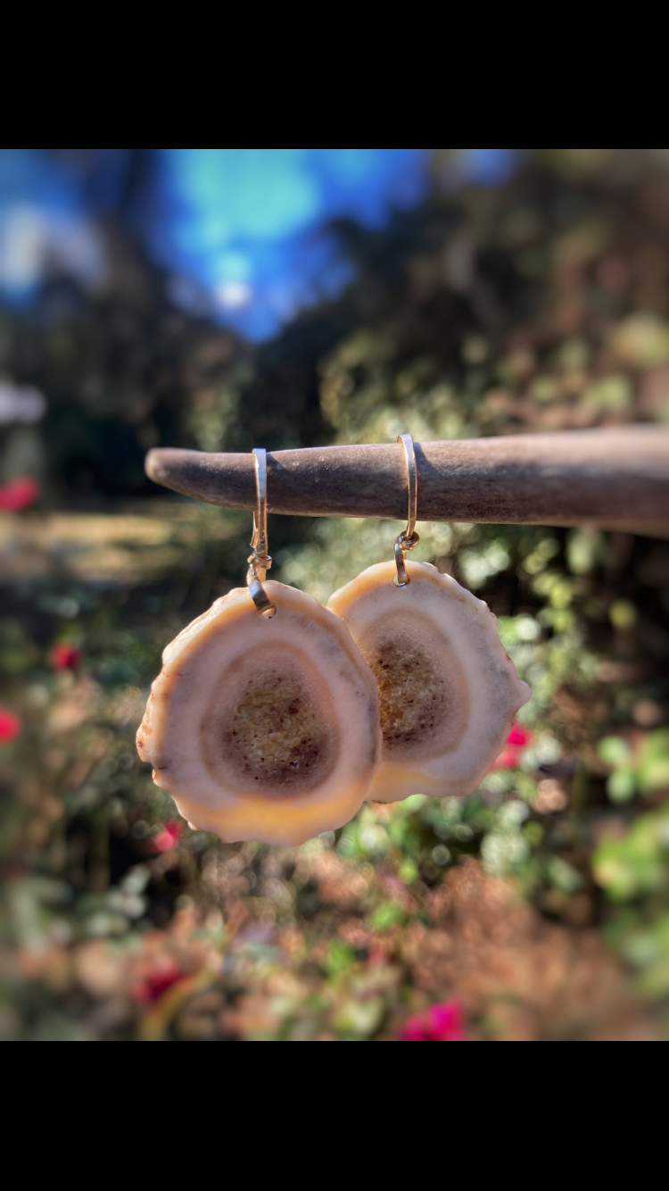 the bluff earrings