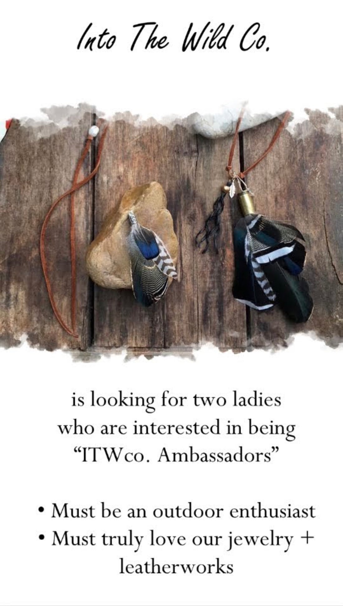 2023 ITWco. Ambassador Search