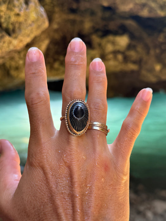 ʻOpihi (Hawaiian limpets) are fascinating little creatures with a deep cultural and ecological importance in Hawaiʻi.
