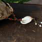 Seashell and Opal Necklace