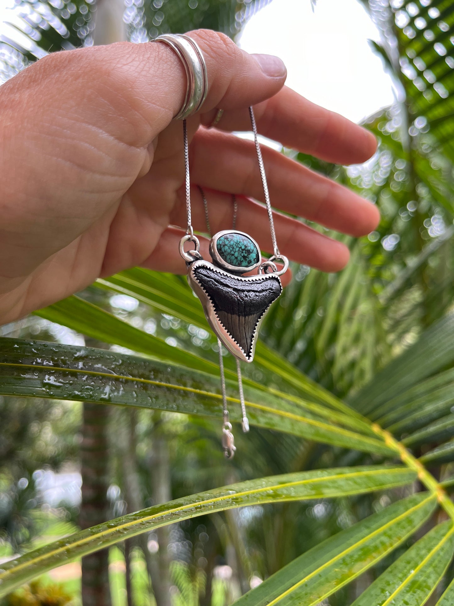 Hand Forged Shark Tooth & Turquoise Necklace