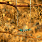 The Merchant Necklace in puka shell