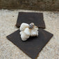 Hawaiian Opihi Shell Ring