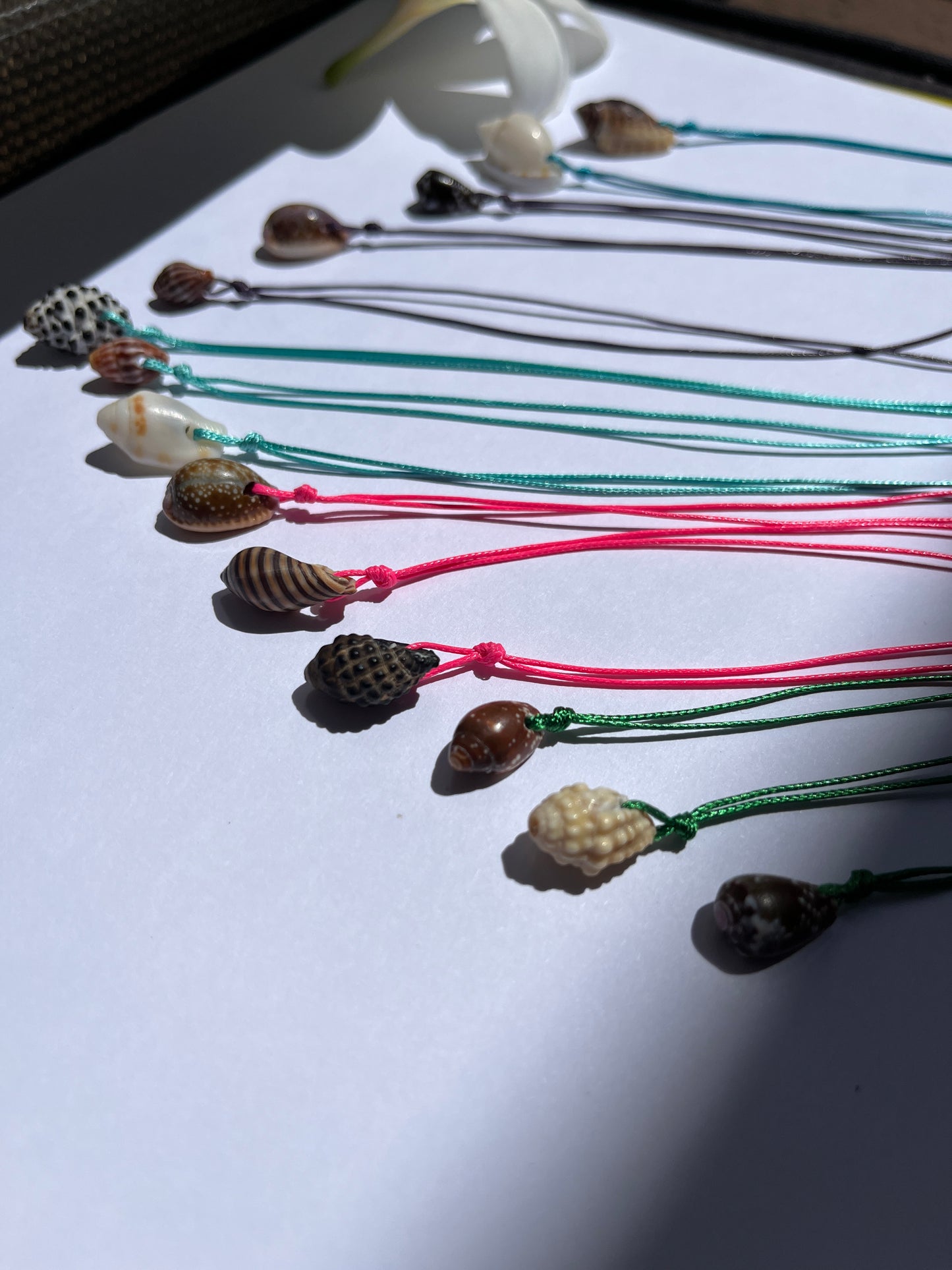 Retro Hawaiian Seashell Necklace