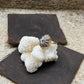 Hawaiian Opihi Shell Ring