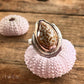Honey Cowrie Mixed Metal Horse Shoe Ring *rts