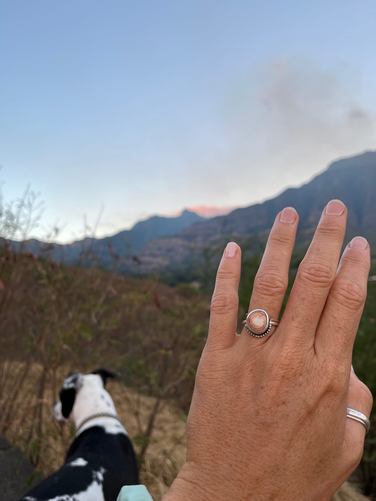 Cinnamon Puka Shell Ring RTS