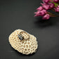 Limpet Ring MTO