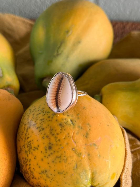 Hawaiian Honey Cowrie Gold Ring