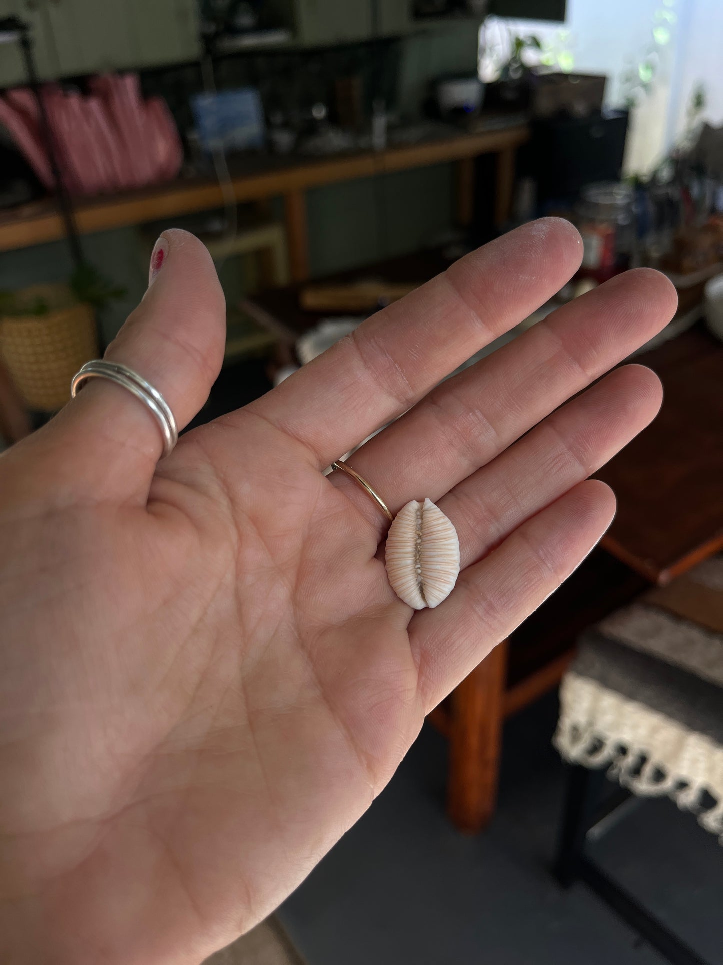 Granulated Cowrie Ring RTS
