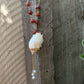 Seashell and Opal Necklace