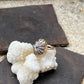 Hawaiian Opihi Shell Ring