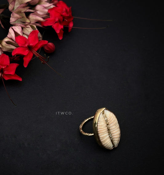 Granulated Cowrie Ring RTS