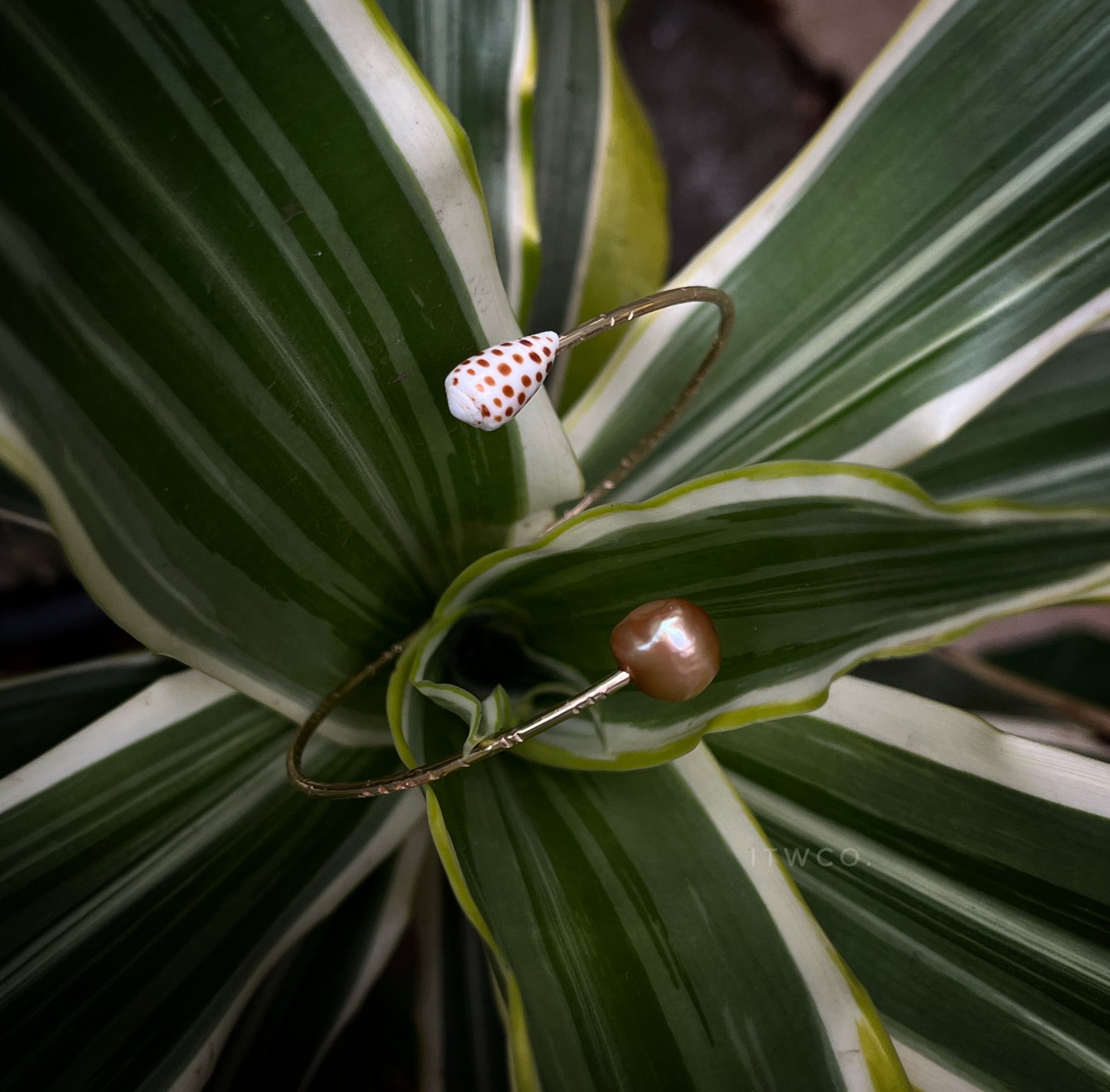 2-Piece Solo Lesson * BLACK FRIDAY SALE