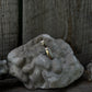 Cowrie Ear Cuff